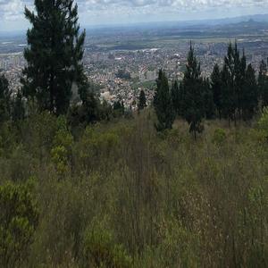 谢梓秋全见twitter
