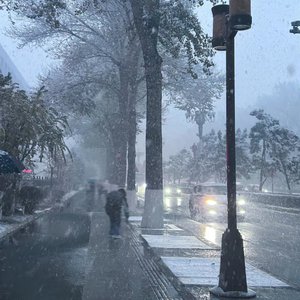 谢梓秋全见twitter
