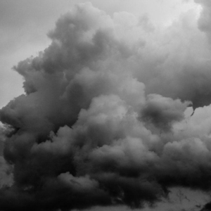 谢梓秋全见twitter
